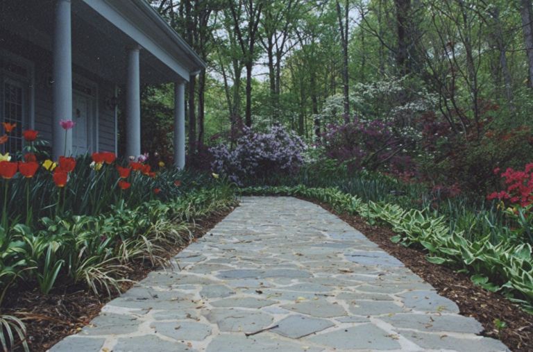 Landscaping integral with the design